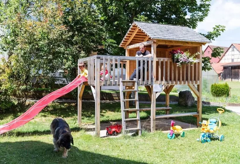 Gasthof   Hotel Zum Ochsen Gmbh