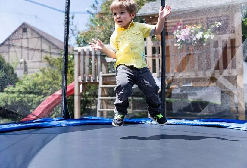 Gasthof   Hotel Zum Ochsen Gmbh