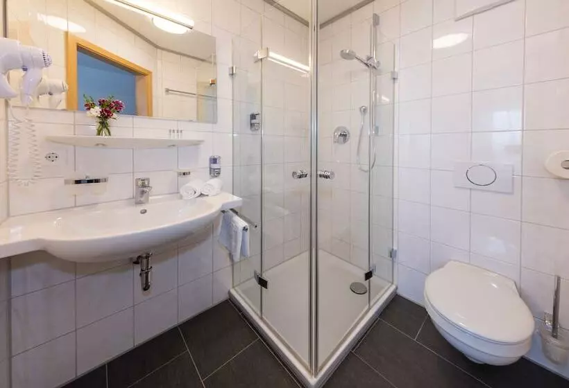 Gasthof   Hotel Zum Ochsen Gmbh