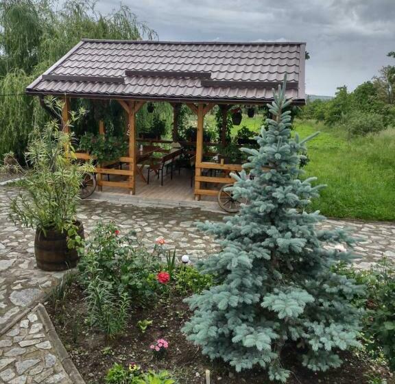 Hotel Pensiunea Codruta