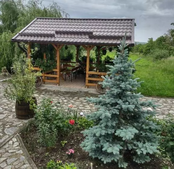 ホテル Pensiunea Codruta
