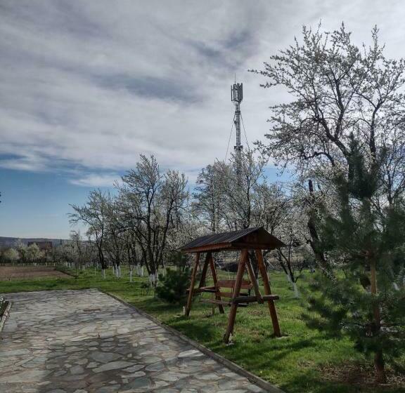 Hotel Pensiunea Codruta