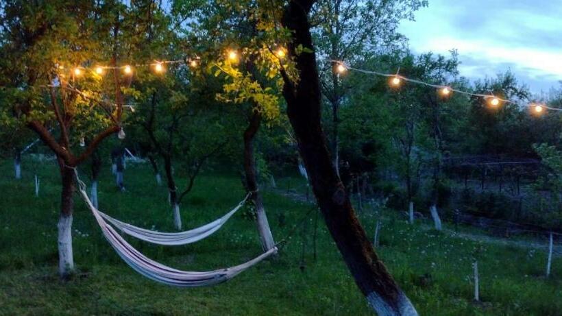 Hotel Pensiunea Codruta