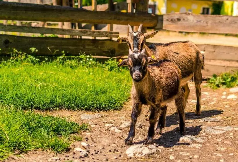 Kinderhotel Appelhof