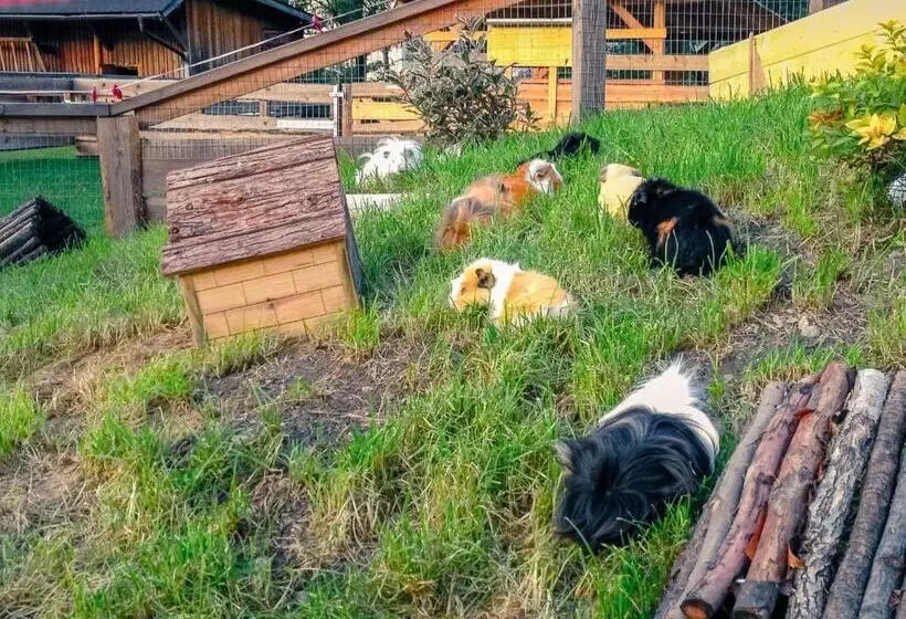Kinderhotel Appelhof