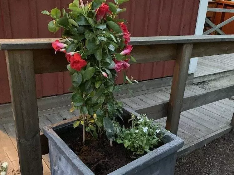 Mellanfjardens Pensionat