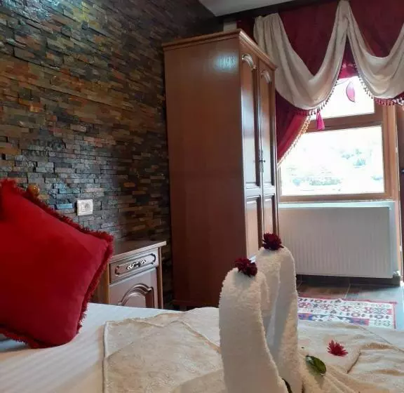 Pensiunea Dracula & Spa