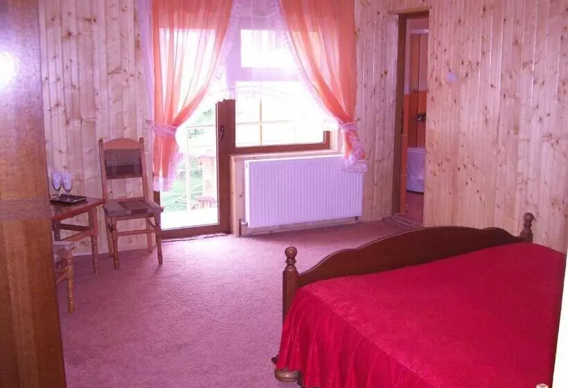 Pensiunea Dracula & Spa