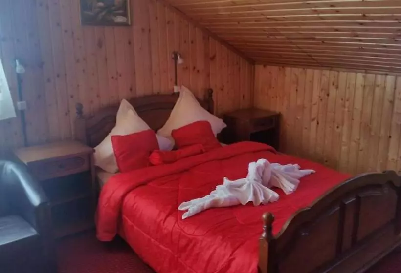 Pensiunea Dracula & Spa