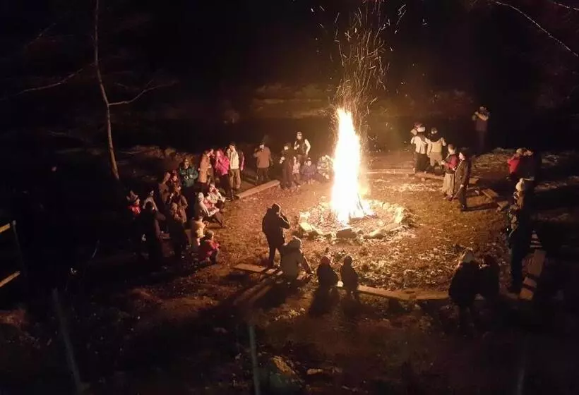 Pensiunea Dracula & Spa