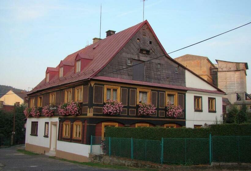 بنسيون Kamélie