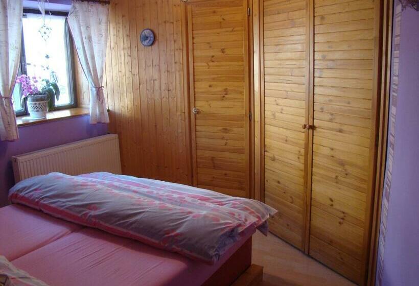 بنسيون Kamélie