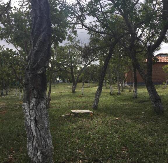 פנסיון Pousada São Gonçalo