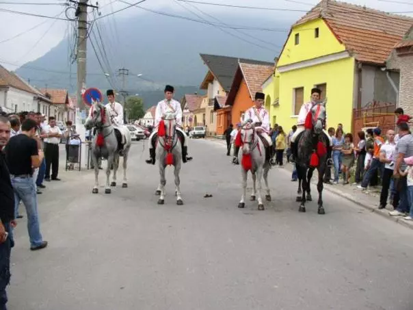 Majatalo Sura Pietrei Craiului