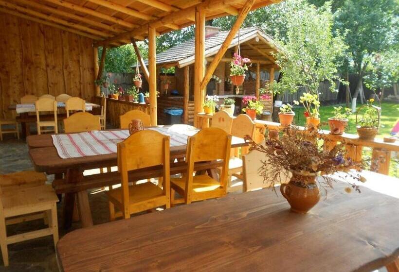 펜션 Sura Pietrei Craiului