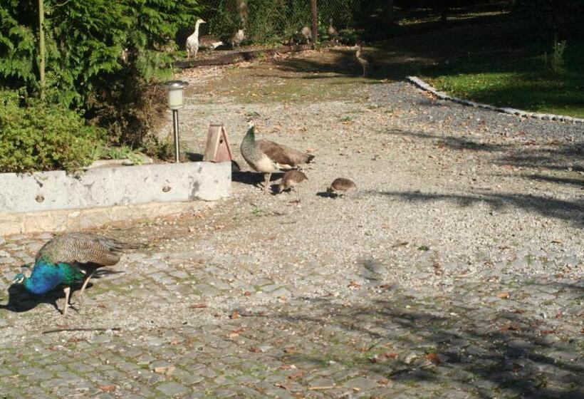 بنسيون Tromcourt