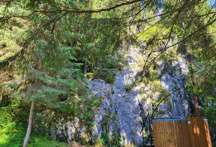 Pension Cabana Cetatile Ponorului