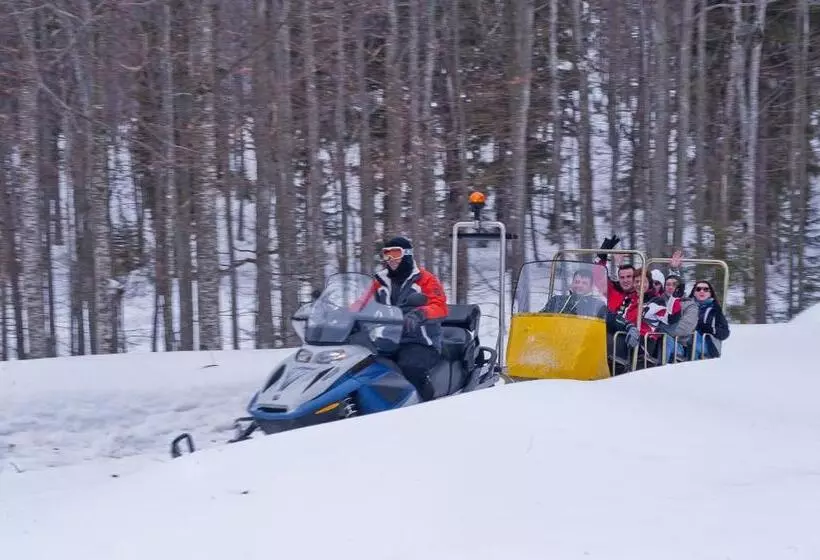 Pension Cabana Cetatile Ponorului
