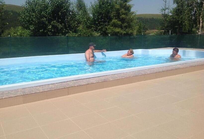 Pensiunea Cionca Str 1 Decembrie 1918 Nr 466