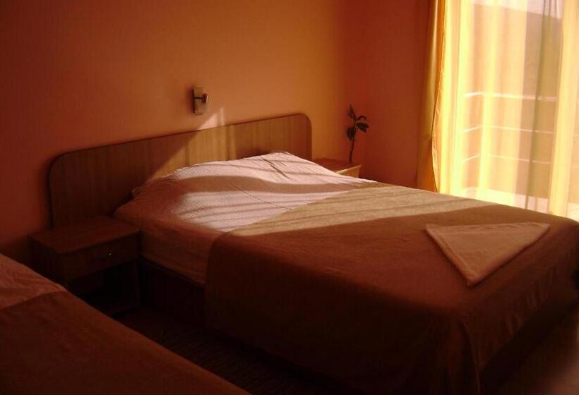 Pensiunea Cionca Str 1 Decembrie 1918 Nr 466