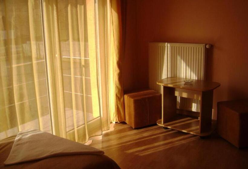 Pensiunea Cionca Str 1 Decembrie 1918 Nr 466