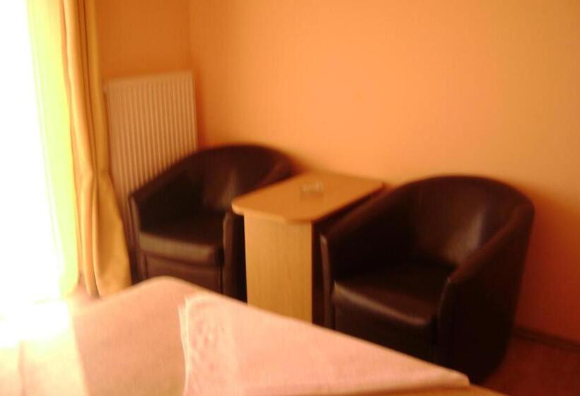 Pensiunea Cionca Str 1 Decembrie 1918 Nr 466