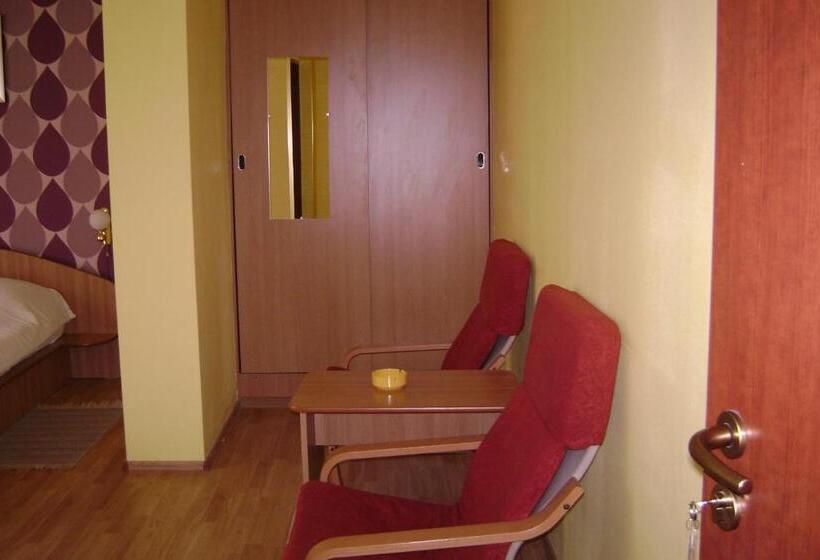 Pensiunea Cionca Str 1 Decembrie 1918 Nr 466