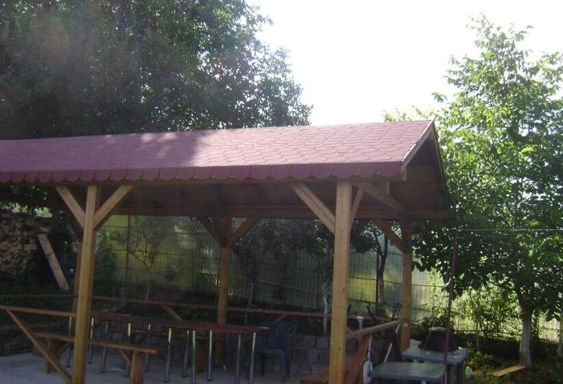 Pensiunea Cionca Str 1 Decembrie 1918 Nr 466