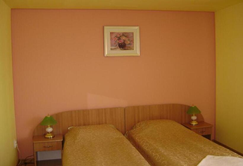 Pensiunea Cionca Str 1 Decembrie 1918 Nr 466