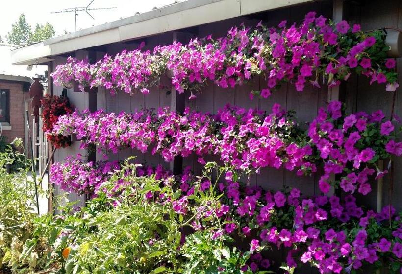 Swiss Mountain Motel