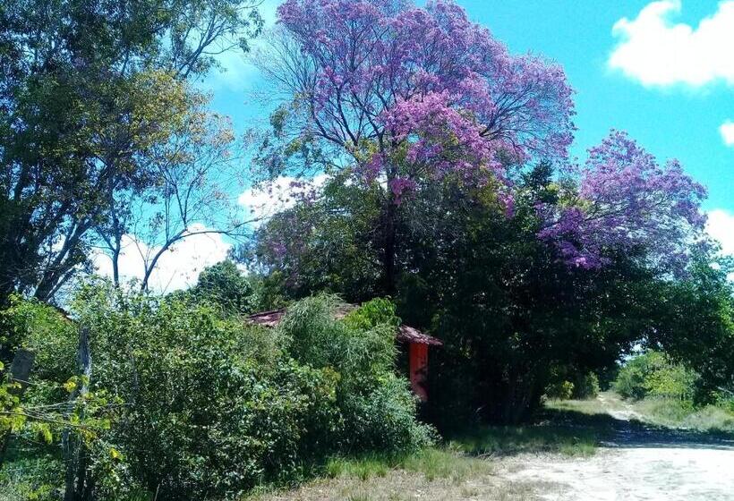 הוסטל Sitio Da Calma