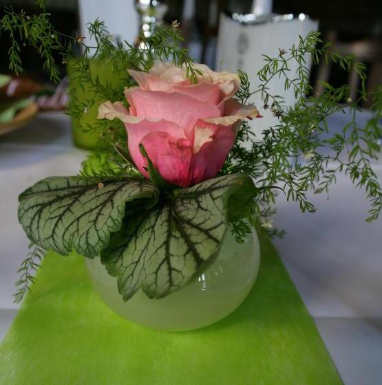 Отель Landhaus Tauber