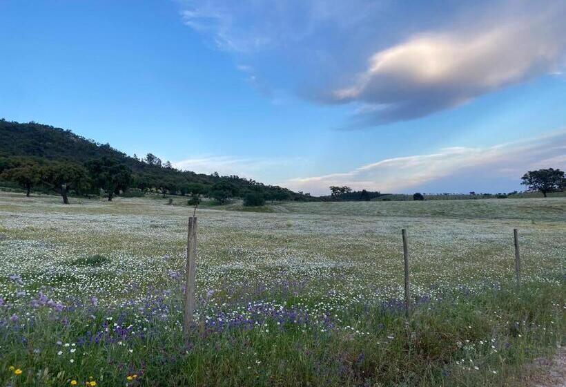 בית מלון כפרי Monte Da Esperanca