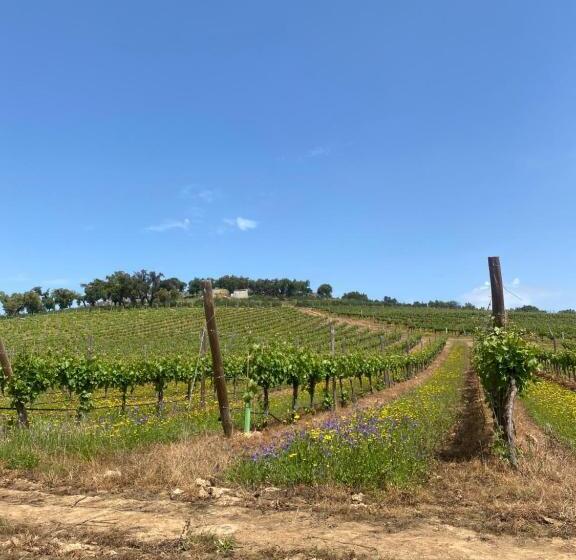 בית מלון כפרי Monte Da Esperanca