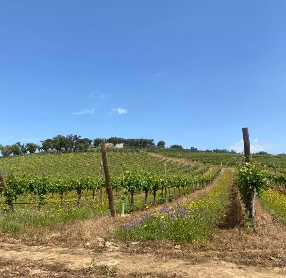 ホテル Monte Da Esperanca