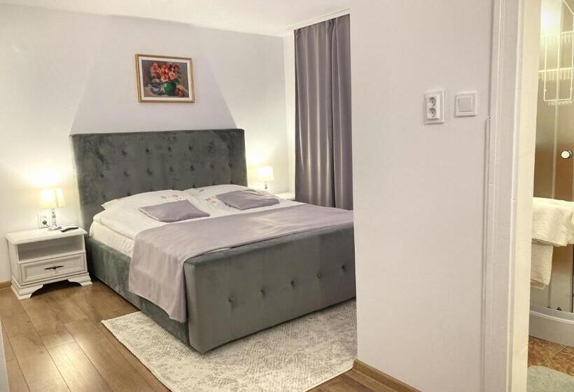 هتل Pensiunea Casa Stefanel