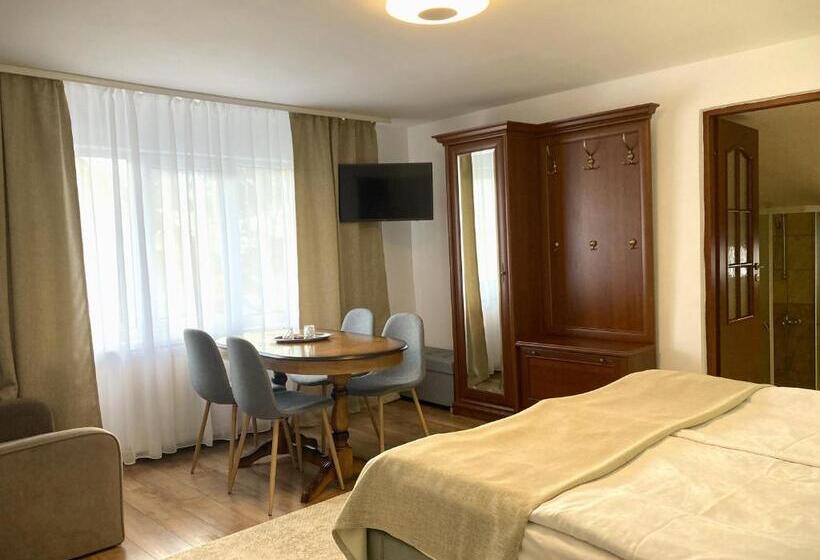 هتل Pensiunea Casa Stefanel