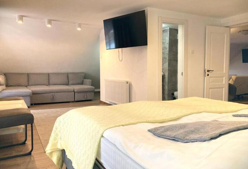 هتل Pensiunea Casa Stefanel