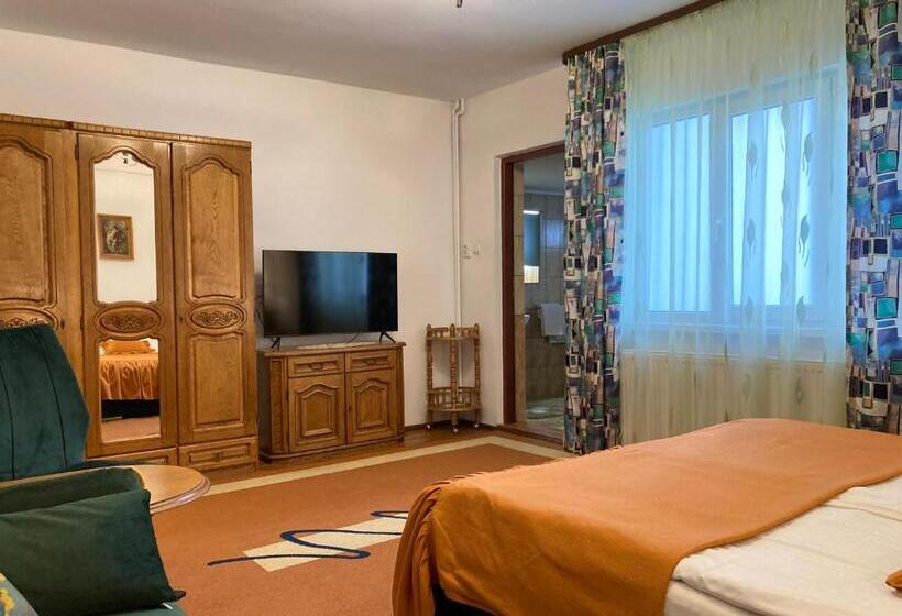 هتل Pensiunea Casa Stefanel