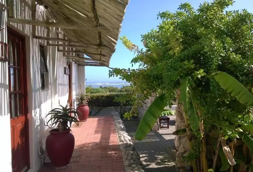 Majatalo Baviana Beach Lodge   Jacobsbaai   Jacobs Bay