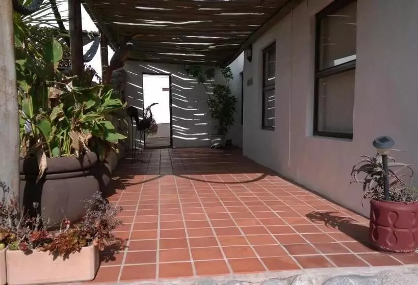 Majatalo Baviana Beach Lodge   Jacobsbaai   Jacobs Bay