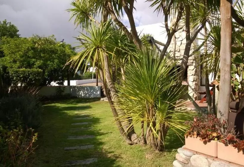 Majatalo Baviana Beach Lodge   Jacobsbaai   Jacobs Bay