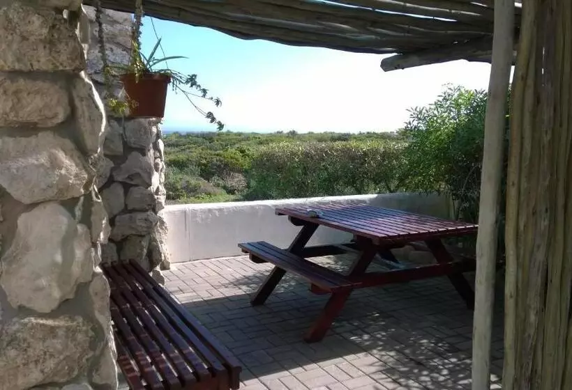 Majatalo Baviana Beach Lodge   Jacobsbaai   Jacobs Bay