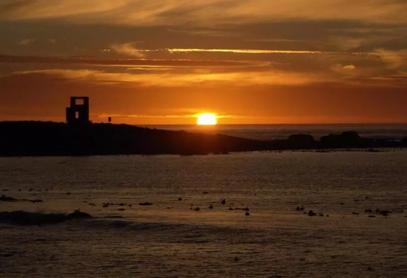 Majatalo Baviana Beach Lodge   Jacobsbaai   Jacobs Bay