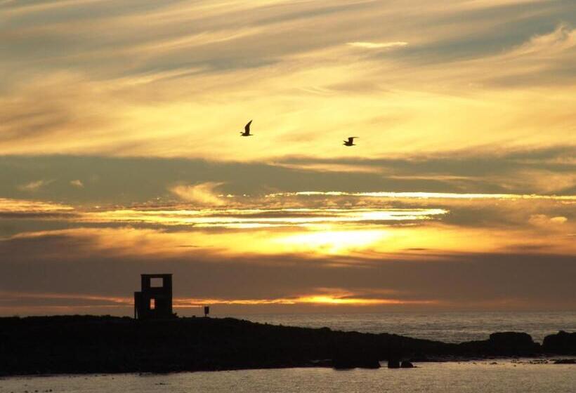 بنسيون Baviana Beach Lodge   Jacobsbaai   Jacobs Bay