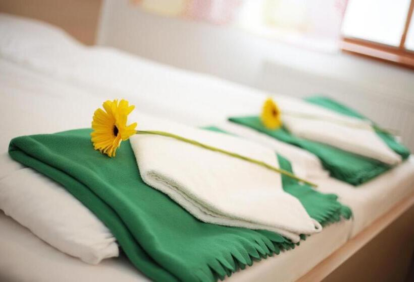 פנסיון Penzión Zemanov Dvor