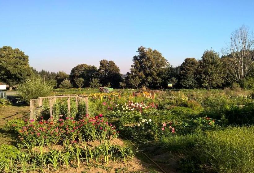 Panzió Penzion Stará Vápenka