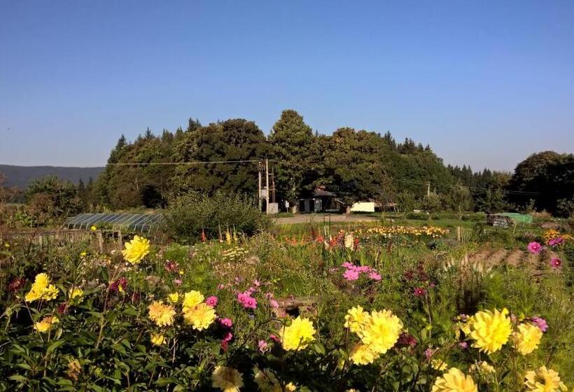 Panzió Penzion Stará Vápenka