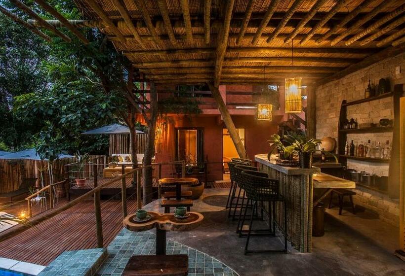 Pension Pousada Alecrim Do Campo