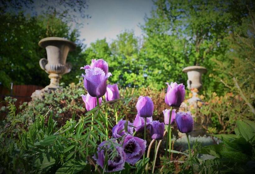 ペンション U Zlate Brany Cesky Raj